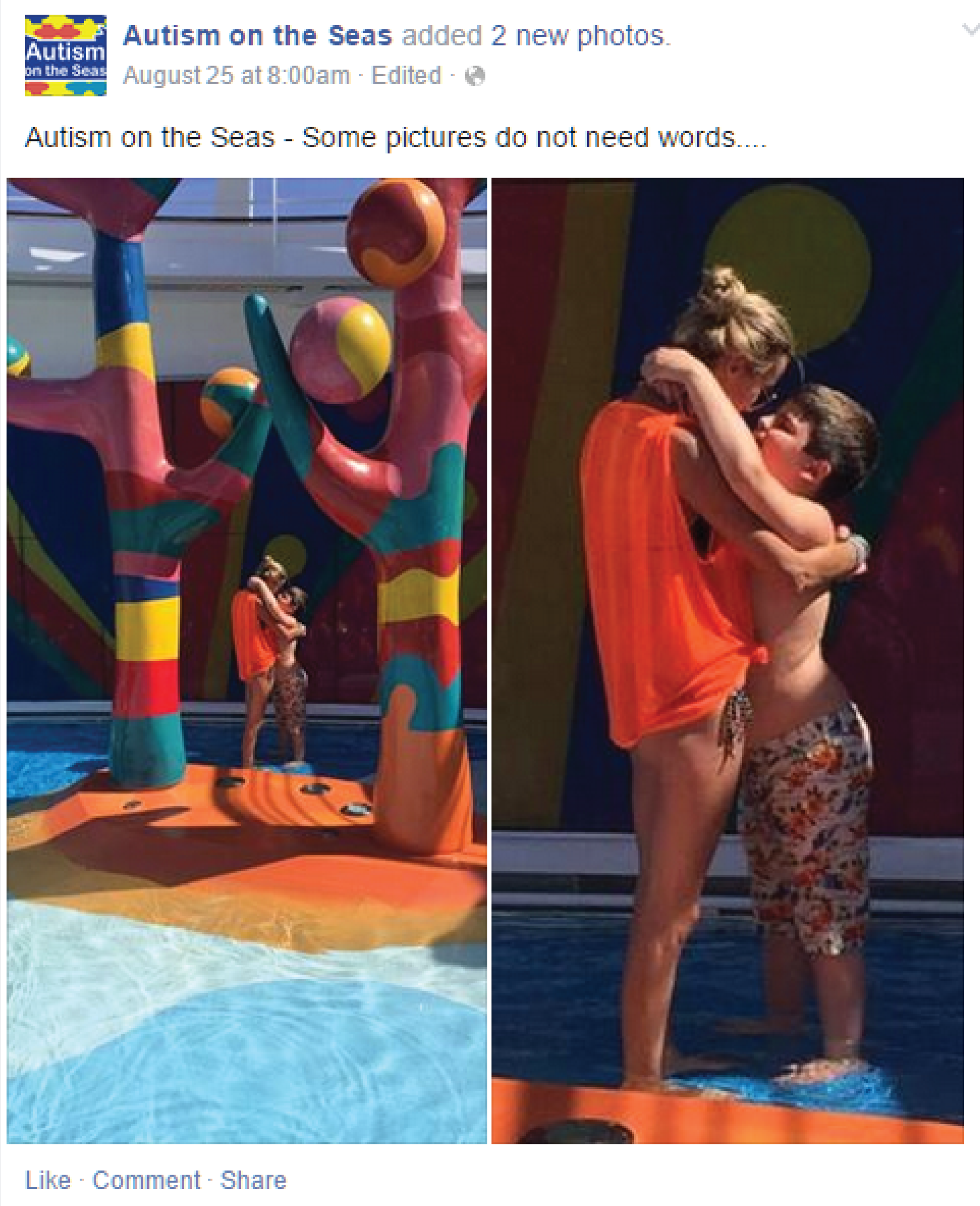 Picture submission